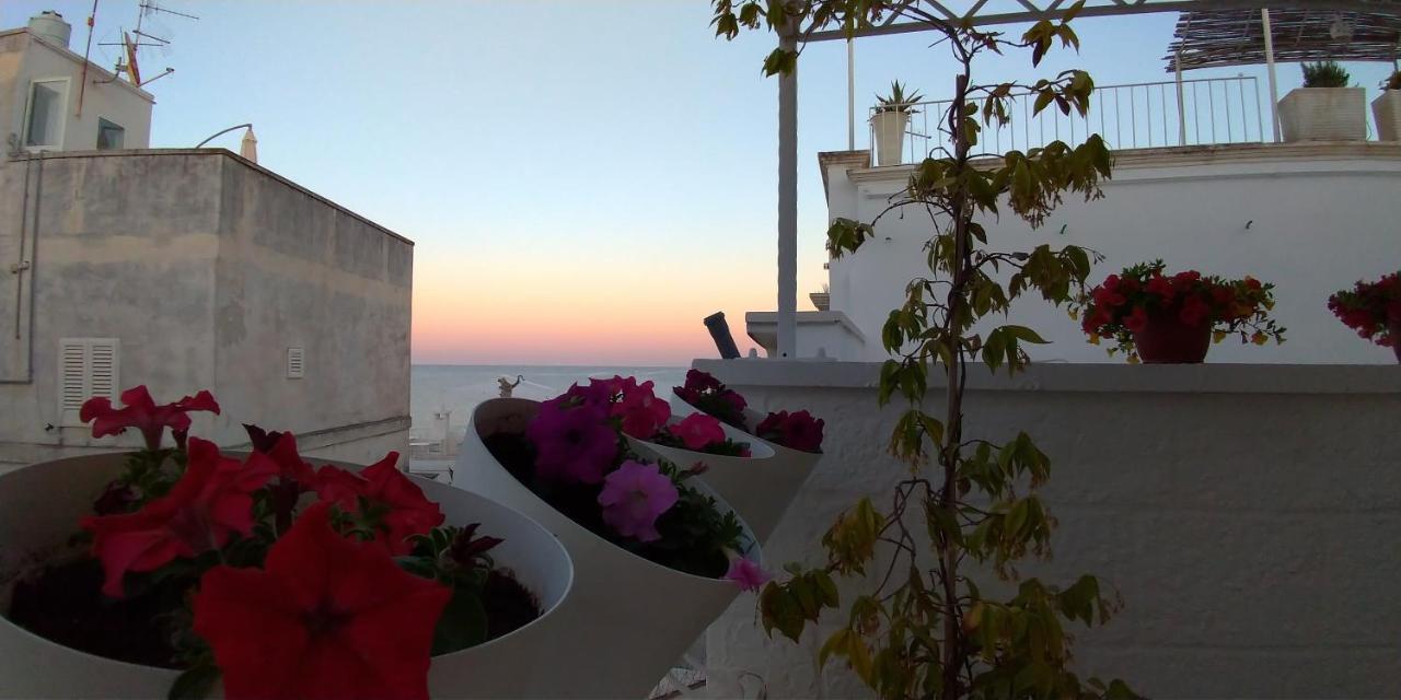 My Monopoli- Casa Dei Fiori "Orchidea" Centro Storico Hotel Екстериор снимка