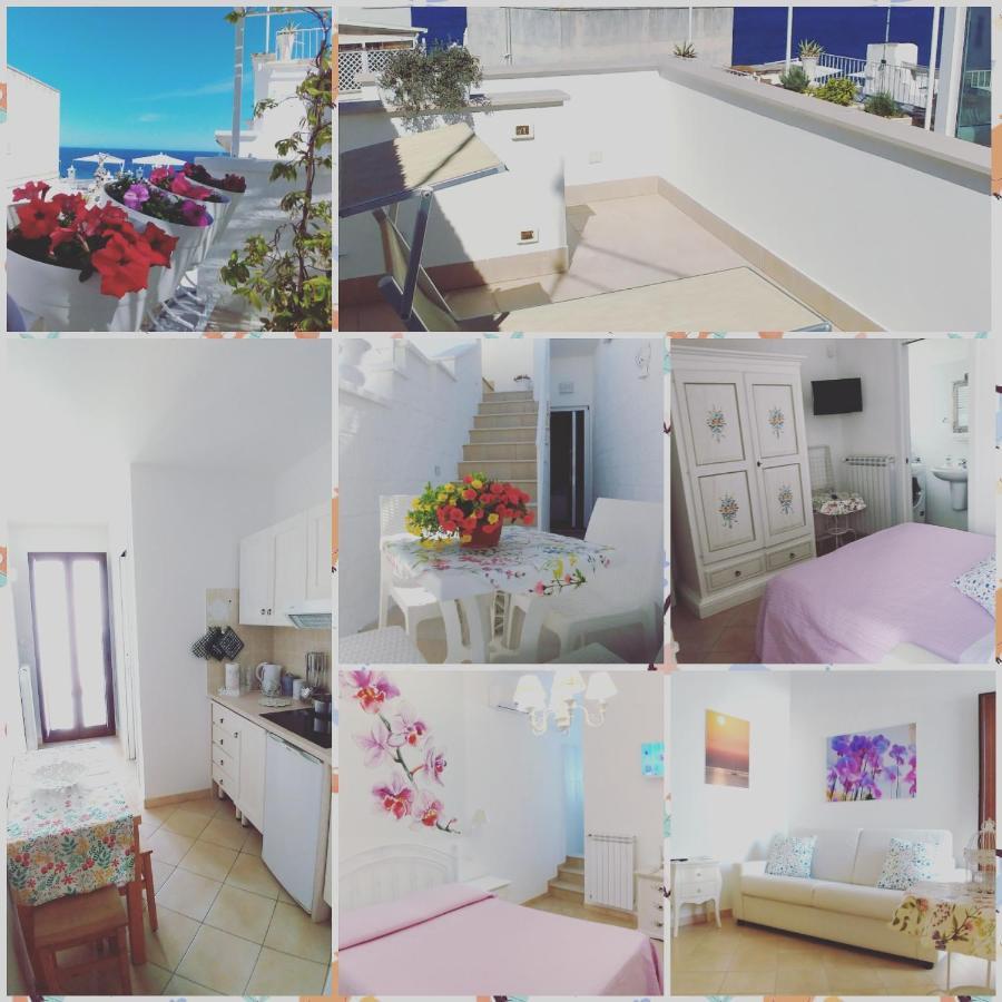 My Monopoli- Casa Dei Fiori "Orchidea" Centro Storico Hotel Екстериор снимка